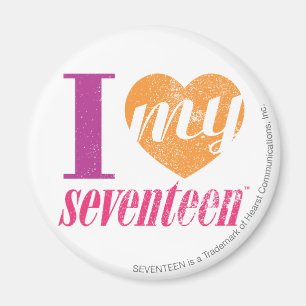 Ich Liebe meine 17 Orange Magnet