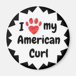 Ich Liebe meine American Curl Cat Magnet