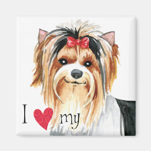 Ich Liebe meine Biewer Terrier Magnet