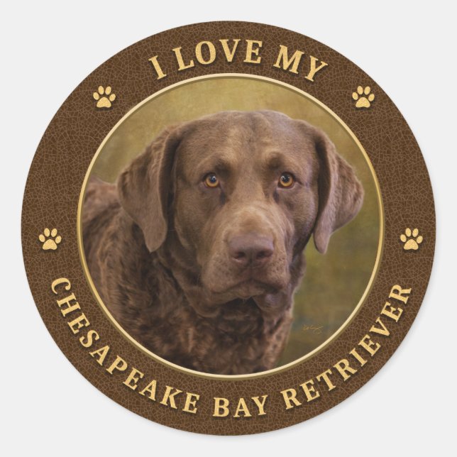 Ich Liebe meine Chesapeake Bay Retriever Round Sti Runder Aufkleber (Vorderseite)