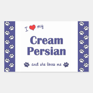 Ich Liebe meine Creme Persisch (weibliche Katze) Rechteckiger Aufkleber
