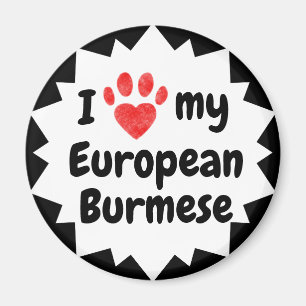 Ich Liebe meine europäische burmesische Katze Magnet