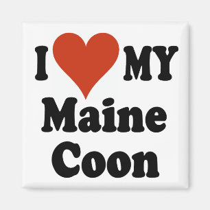 Ich Liebe meine Haupt-Coon-Katzengeschenke und Kle Magnet