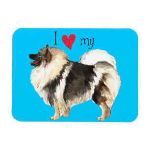 Ich Liebe meine Keeshond Magnet