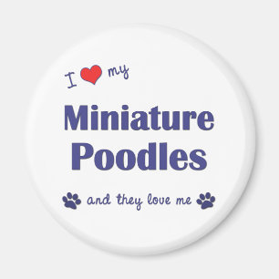 Ich Liebe meine Miniaturpoodles (mehrere Hunde) Magnet