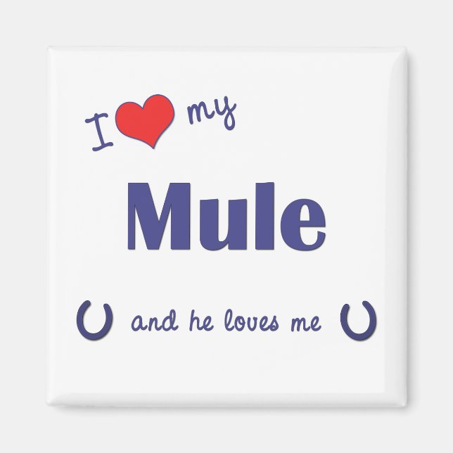 Ich Liebe meine Mule (männliche Mule) Magnet (Vorne)
