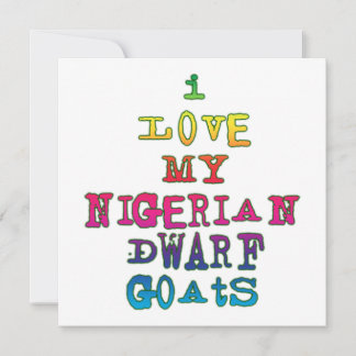 Ich Liebe meine nigerianischen Zwergziegen