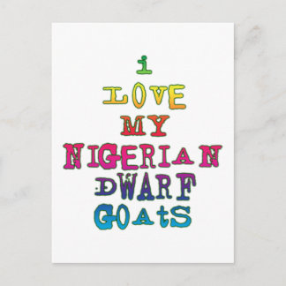 Ich Liebe meine nigerianischen Zwergziegen Postkarte