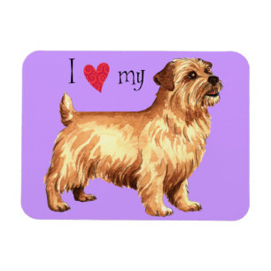 Ich Liebe meine Norfolk Terrier Magnet
