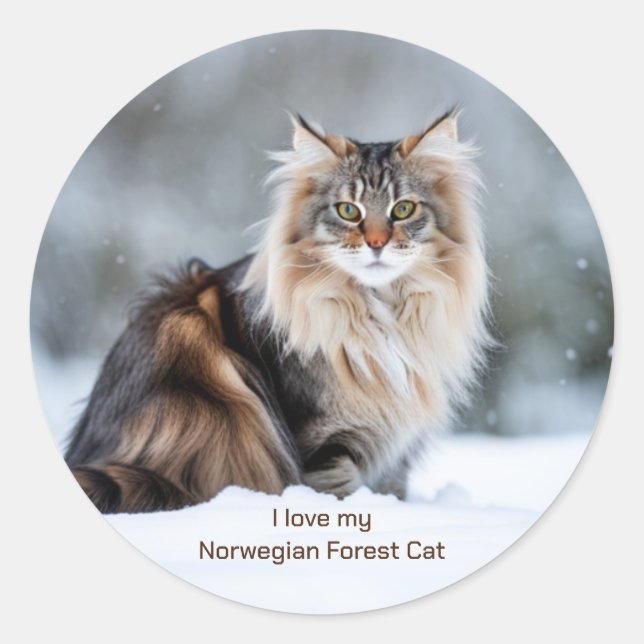 Ich Liebe meine norwegische Waldkatze im Schnee Runder Aufkleber (Vorderseite)