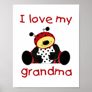 Ich Liebe meine Oma (Junge Ladybug) Poster