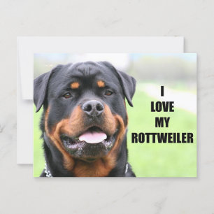 Ich Liebe meine Rottweiler Postkarte