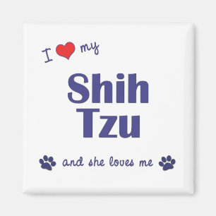 Ich Liebe meine Shih Tzu (weibliche Hunde) Magnet