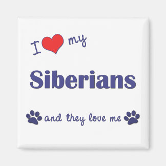 Ich Liebe meine Sibirier (mehrere Katzen) Magnet