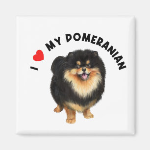 Ich Liebe meinem Spitz Niedlich Spitz Welpen Hund  Magnet
