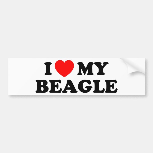Ich Liebe meinen Beagle Autoaufkleber (Vorne)