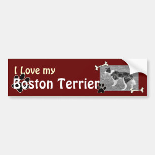 Ich Liebe meinen Boston Terrier Autoaufkleber
