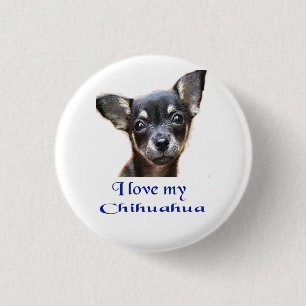 Ich liebe meinen Chihuahua Button