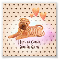 Ich Liebe meinen chinesischen Shar-Pei-Namen Custo