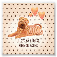Ich Liebe meinen chinesischen Shar-Pei-Namen Custo