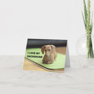 Ich liebe meinen Cream Dachshund mit Bild Karte