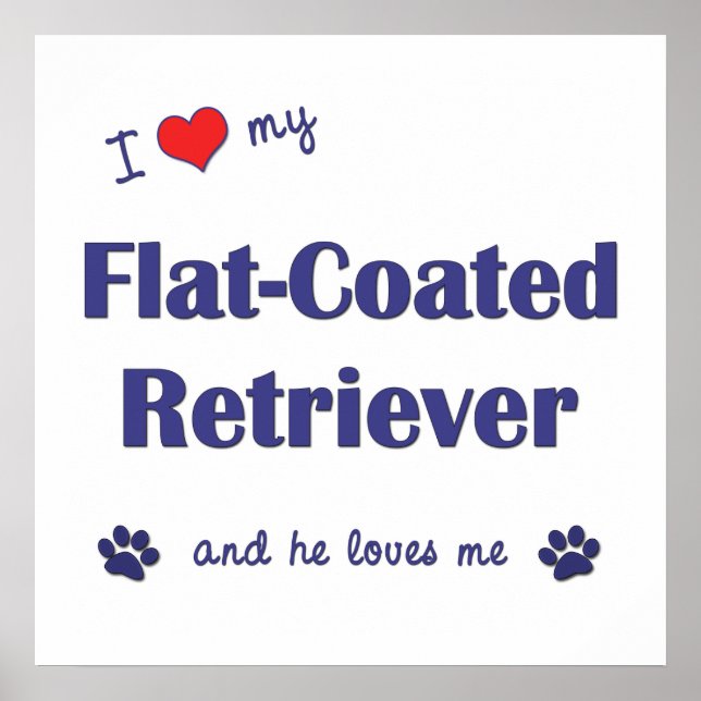 Ich Liebe meinen flachbeschichteten Retriever (män Poster (Vorne)