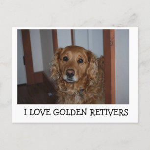Ich Liebe meinen goldenen Reetiver Postkarte