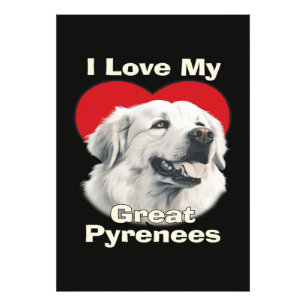 Ich liebe meinen großen Pyrenäen-Hund Fotodruck