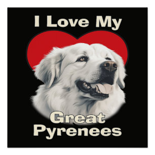 Ich liebe meinen großen Pyrenäen-Hund Poster