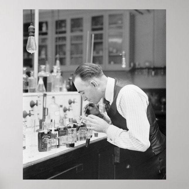 Ich Liebe meinen Job: 1920 Poster (Vorne)