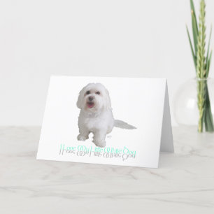 Ich liebe meinen kleinen weißen Hund - Havanese Karte