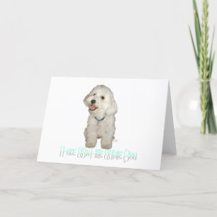 Ich liebe meinen kleinen weißen Hund - Havanese Karte