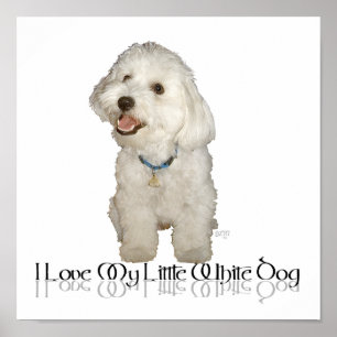 Ich liebe meinen kleinen weißen Hund - Havanese Poster
