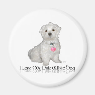 Ich liebe meinen kleinen weißen Hund - Malteser ! Magnet