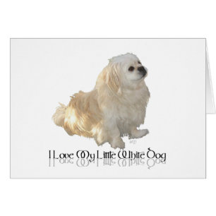 Ich liebe meinen kleinen weißen Hund - Pekingese !