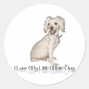 Ich liebe meinen kleinen weißen Hund - Poodle / Bi Runder Aufkleber