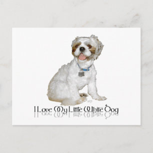 Ich liebe meinen kleinen weißen Hund - Shih Tzu Postkarte