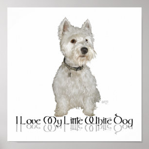 Ich liebe meinen kleinen weißen Hund - Westie Poster