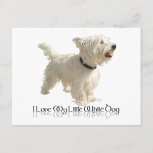 Ich liebe meinen kleinen weißen Hund - Westie Postkarte