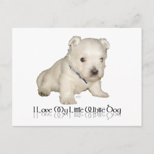 Ich liebe meinen kleinen weißen Hund - Westie Welp Postkarte