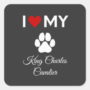 Ich Liebe meinen Sondertext von König Charles Cava Quadratischer Aufkleber