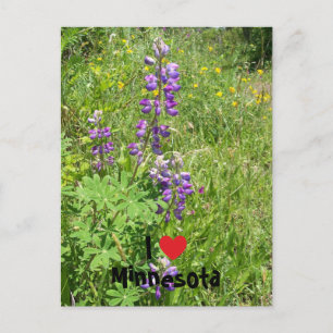 Ich liebe Minnesota Postkarte