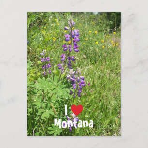 Ich liebe Montana Postkarte