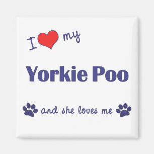 Ich Liebe My Yorkie Poo (Weiblicher Hund) Magnet