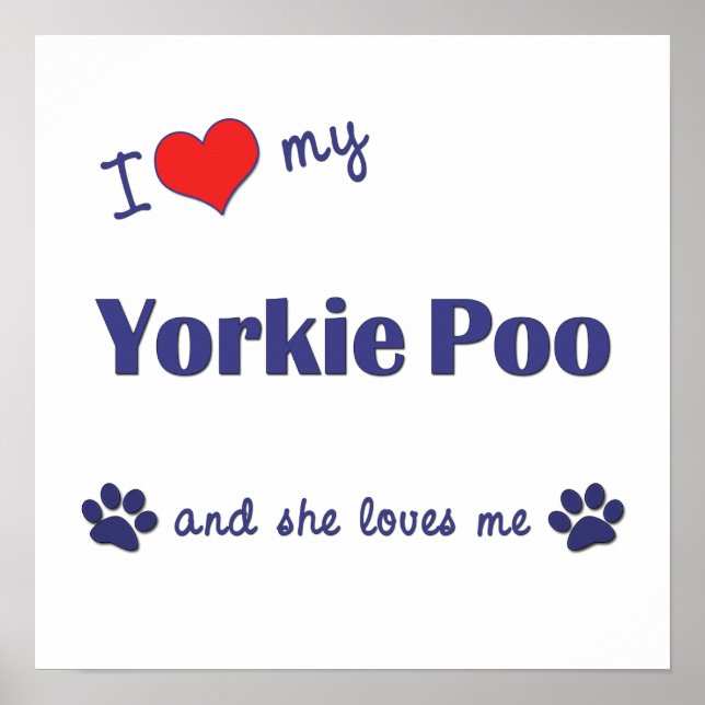 Ich Liebe My Yorkie Poo (Weiblicher Hund) Poster (Vorne)