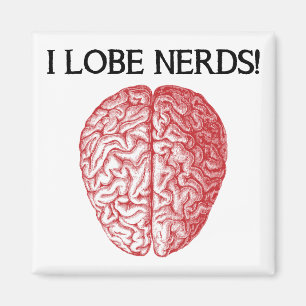 Ich liebe Nerds Lieben Lustige Kühlschrankmagnet Magnet