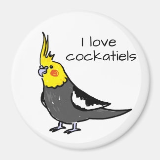 Ich liebe normale graue Nymphensittiche Magnet