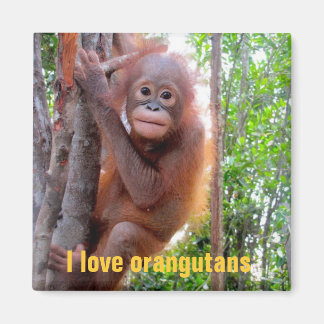Ich Liebe Orangutans mit Baby Uttuh Magnet