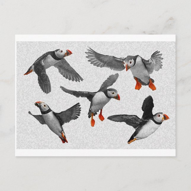 Ich Liebe Puffins! Postkarte (Vorderseite)