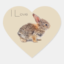 Ich liebe Rabbits Bunny